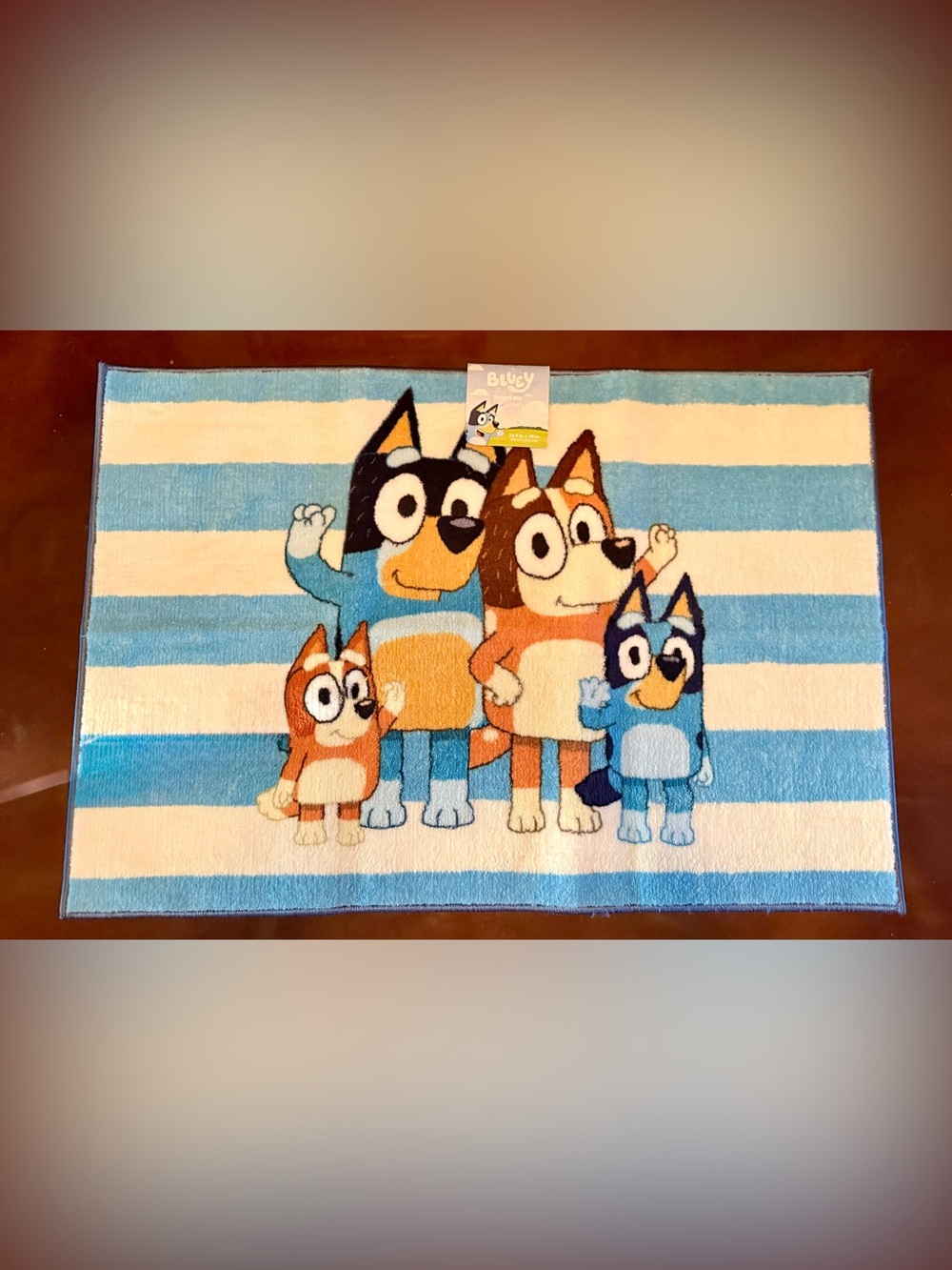 Bluey Family Stripe Blue White Indoor Area Rug 31.5”X46”~NWT